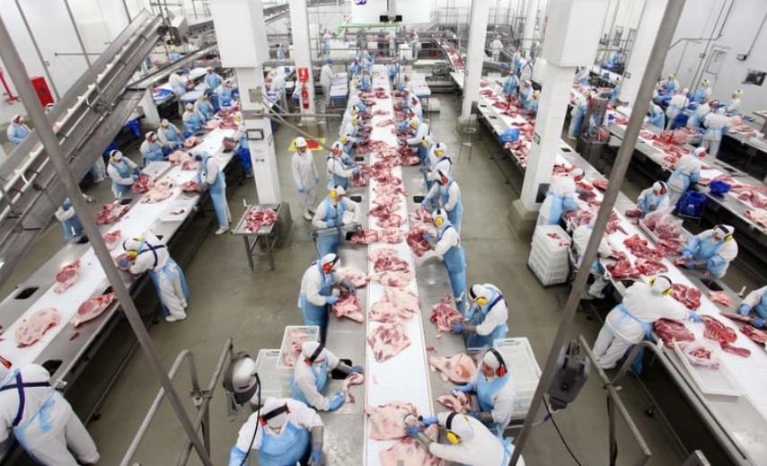 Brasil habilita 19 novos frigoríficos para exportação de carnes à África do Sul