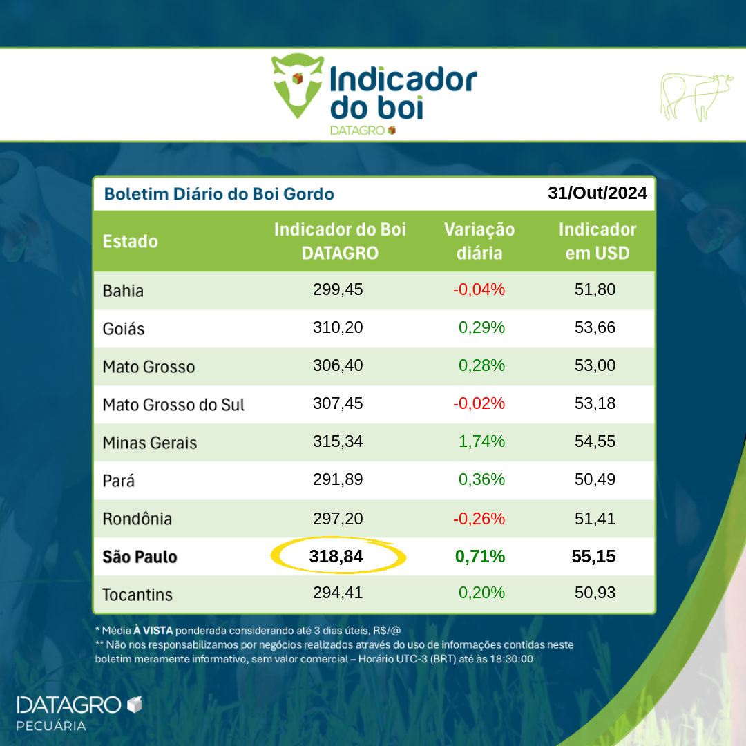 Indicador do Boi DATAGRO: valor médio da arroba do boi gordo fecha esta quinta-feira (31) em R$ 318,84